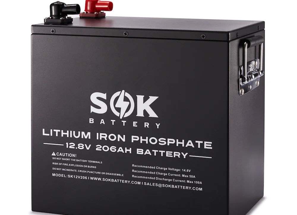 MPP Solar Inverter 2400W 80A MPPT 24VDC 120VAC 60A Charger
